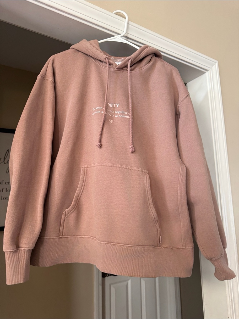 TNA Aritzia Graphic Unity Hoodie